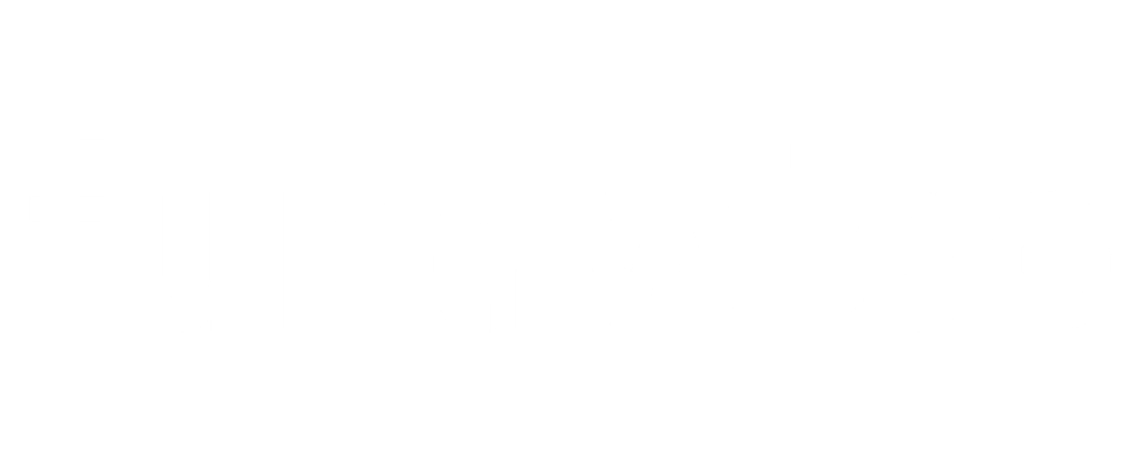 Fundwise Logo